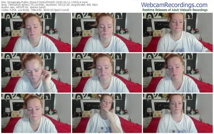 streamate-sinfultitsdd-03-11-2025-19-53-14