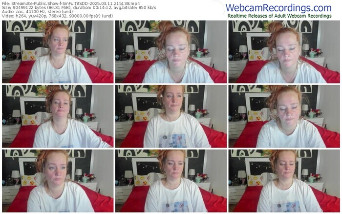 streamate-sinfultitsdd-03-11-2025-21-51-38