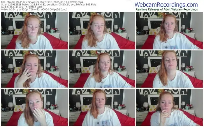 streamate-sinfultitsdd-03-11-2025-22-22-33