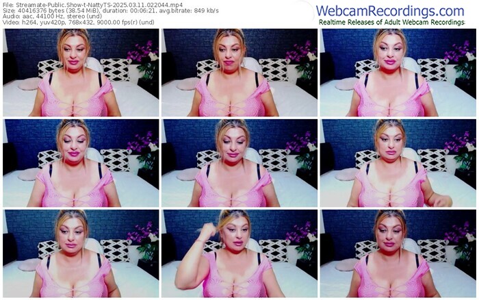 streamate-nattyts-03-11-2025-02-20-44