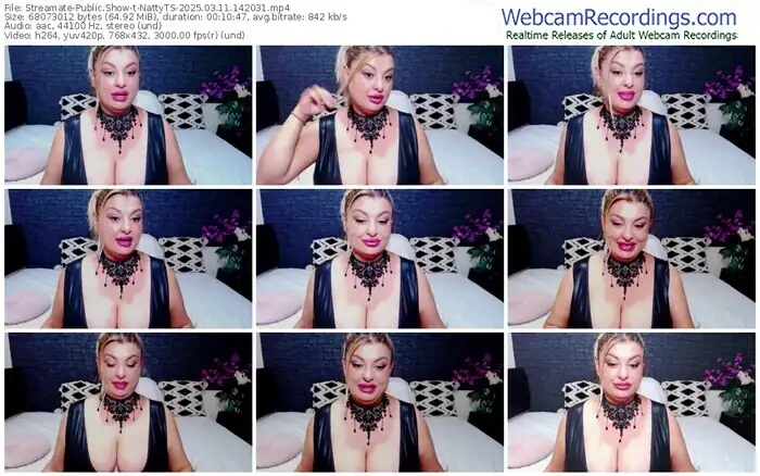 streamate-nattyts-03-11-2025-14-20-31