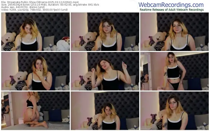 streamate-briarre-03-12-2025-02-09-41