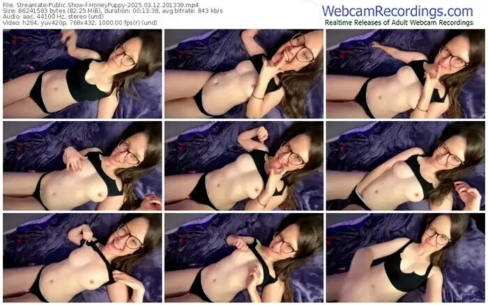 streamate-honeypuppy-03-12-2025-20-13-39