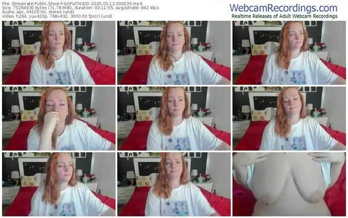 streamate-sinfultitsdd-03-12-2025-00-00-35