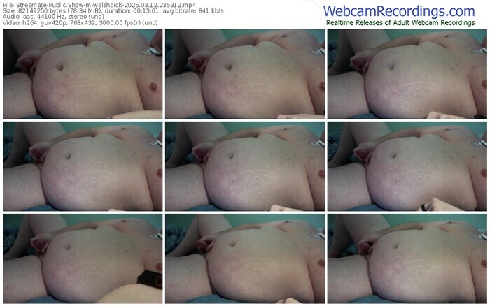 streamate-welshdick-03-12-2025-23-53-12