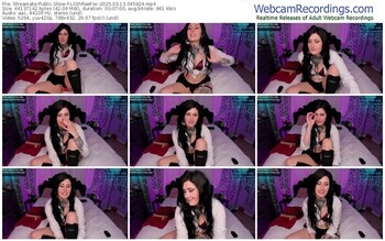 streamate-lilithraefox-03-13-2025-04-59-24