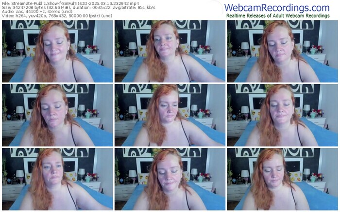 streamate-sinfultitsdd-03-13-2025-23-29-42