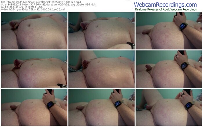 streamate-welshdick-03-13-2025-00-12-40