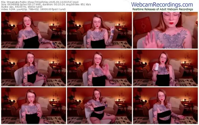 streamate-missfinley-03-14-2025-00-15-47