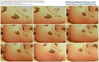 streamate-squirterforyou-03-14-2025-13-13-29