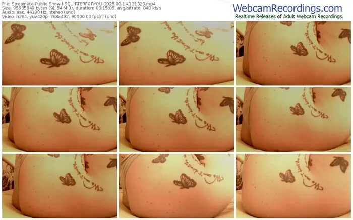 streamate-squirterforyou-03-14-2025-13-13-29