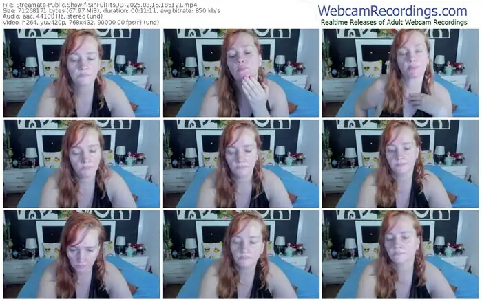 streamate-sinfultitsdd-03-15-2025-18-51-21