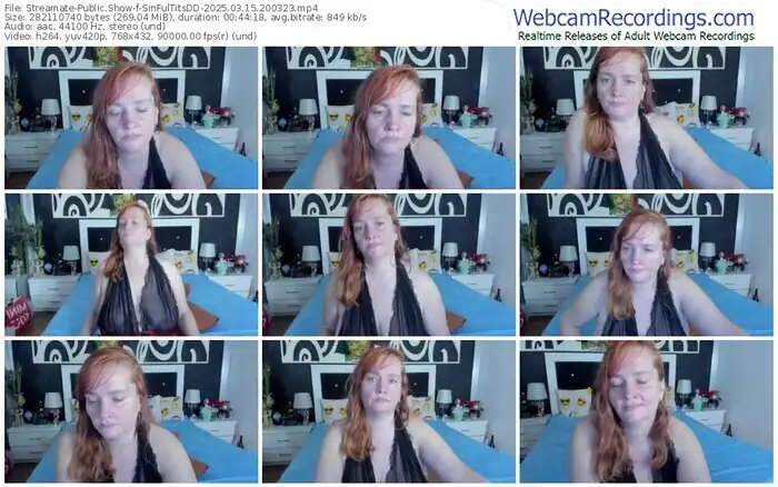 streamate-sinfultitsdd-03-15-2025-20-03-23