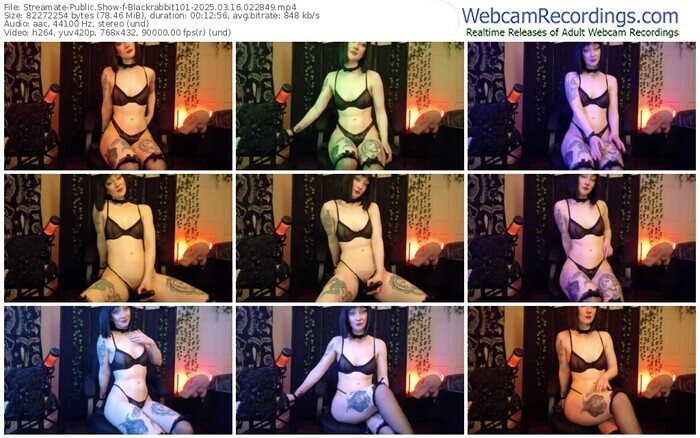 streamate-blackrabbit101-03-16-2025-02-28-49