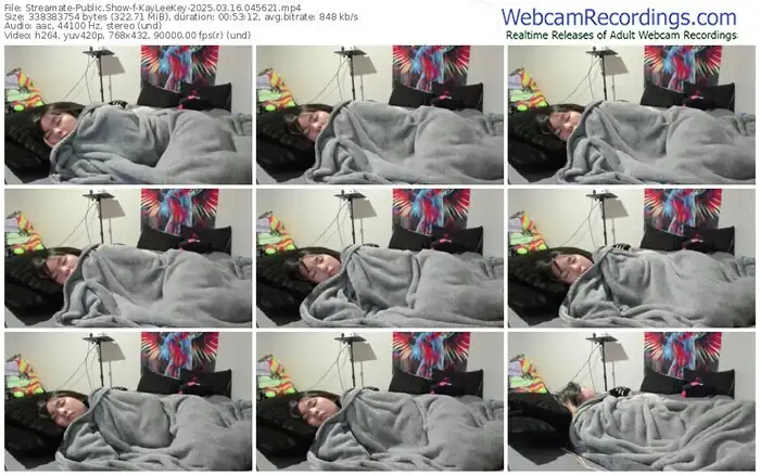 streamate-kayleekey-03-16-2025-04-56-21