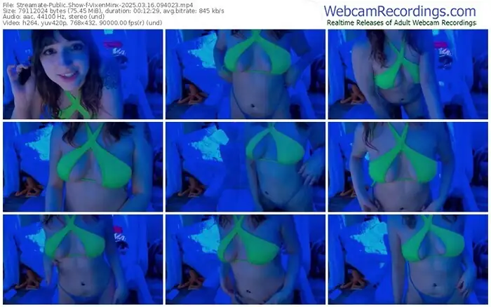 streamate-vixenminx-03-16-2025-09-40-23