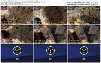 streamate-daishasweet-03-17-2025-11-50-38