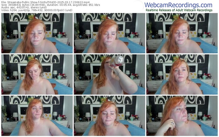 streamate-sinfultitsdd-03-17-2025-23-06-22