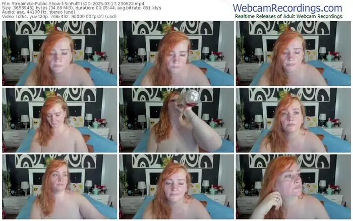 streamate-sinfultitsdd-03-17-2025-23-06-22