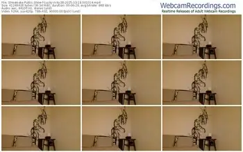 streamate-luckyvicky28-03-18-2025-00-10-14