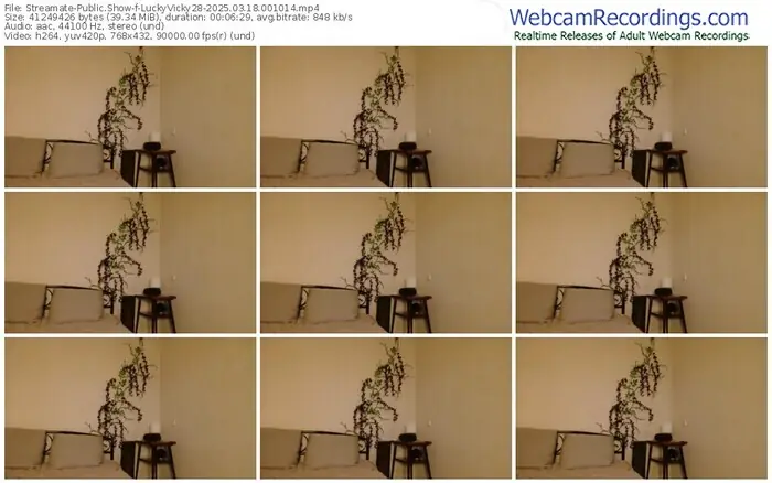 streamate-luckyvicky28-03-18-2025-00-10-14