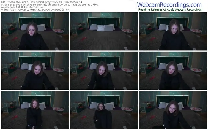 streamate-pamhorny-03-18-2025-02-06-05