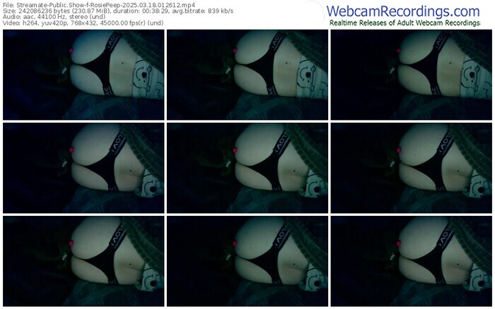 streamate-rosiepeep-03-18-2025-01-26-12