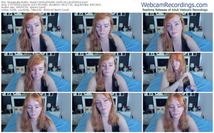 streamate-sinfultitsdd-03-18-2025-00-25-52