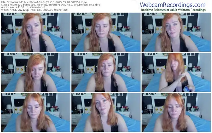 streamate-sinfultitsdd-03-18-2025-00-25-52