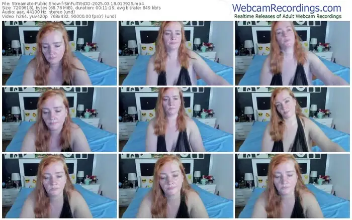 streamate-sinfultitsdd-03-18-2025-01-39-25