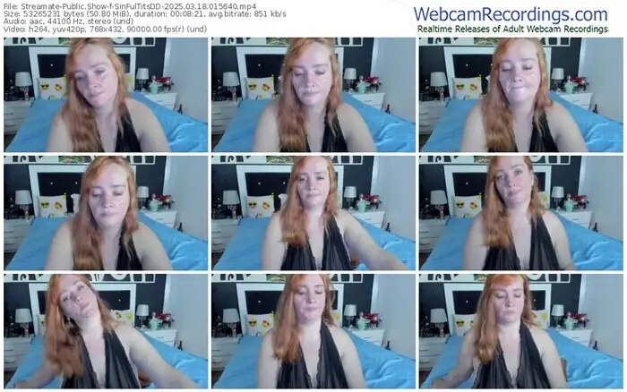 streamate-sinfultitsdd-03-18-2025-01-56-40