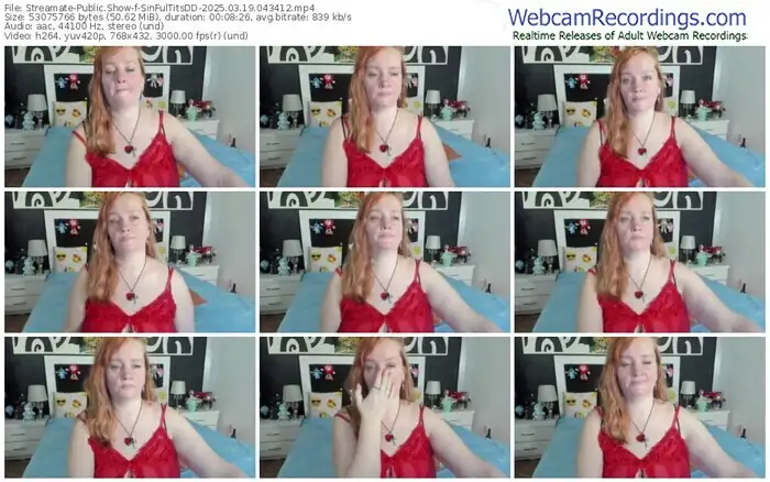 streamate-sinfultitsdd-03-19-2025-04-34-12