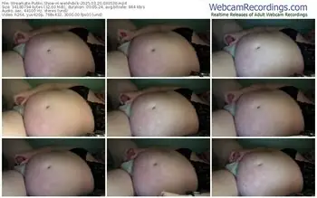 streamate-welshdick-03-20-2025-03-05-30