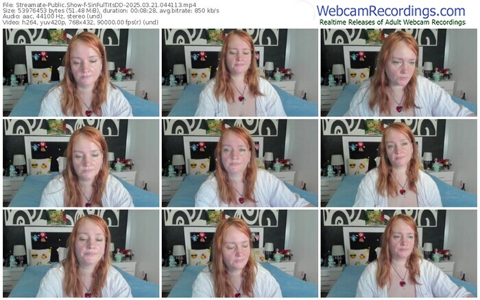 streamate-sinfultitsdd-03-21-2025-04-41-13