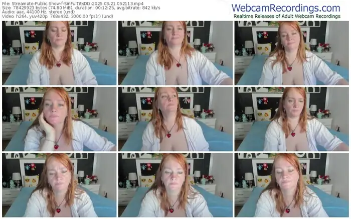 streamate-sinfultitsdd-03-21-2025-05-21-13