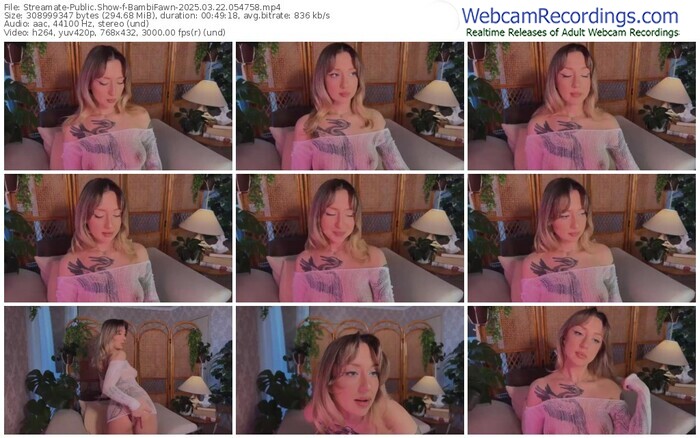 streamate-bambifawn-03-22-2025-05-47-58