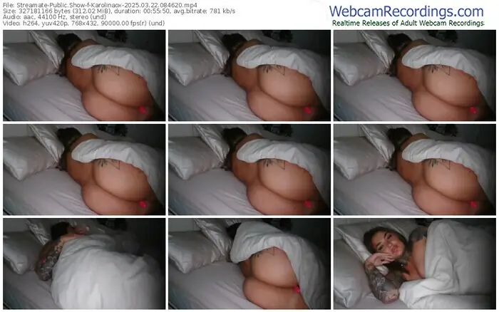 streamate-karolinaox-03-22-2025-08-46-20
