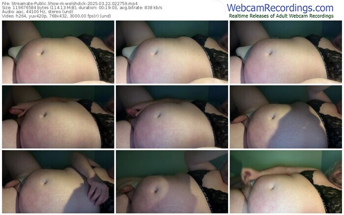 streamate-welshdick-03-22-2025-02-27-59