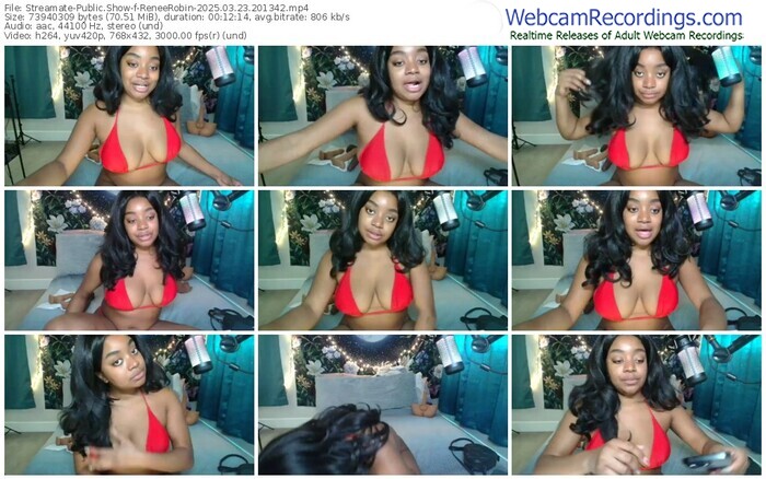 streamate-reneerobin-03-23-2025-20-13-42
