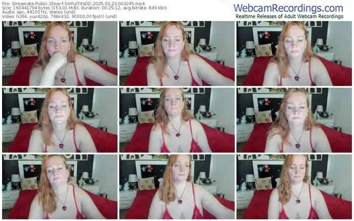 streamate-sinfultitsdd-03-23-2025-06-32-45