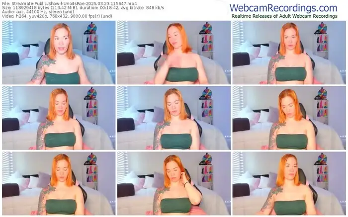 streamate-unoitsroe-03-23-2025-11-56-47