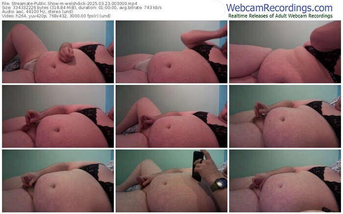 streamate-welshdick-03-23-2025-00-30-00