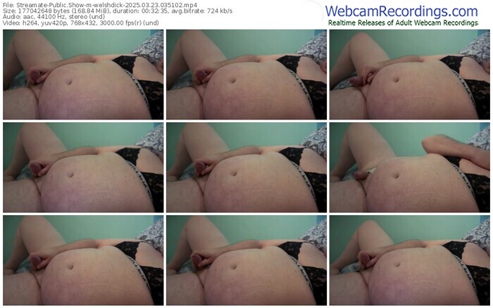 streamate-welshdick-03-23-2025-03-51-02