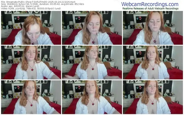 streamate-sinfultitsdd-03-24-2025-21-32-26