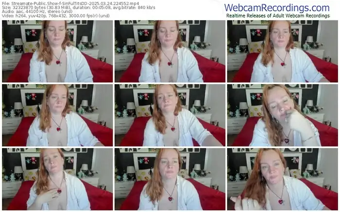 streamate-sinfultitsdd-03-24-2025-22-45-52