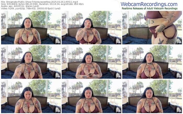 streamate-honeysweettea-03-26-2025-14-55-11