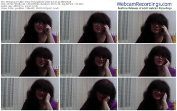 streamate-silviasky51-03-27-2025-21-38-18