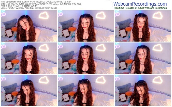 streamate-cheekyylillyy-03-28-2025-09-57-16