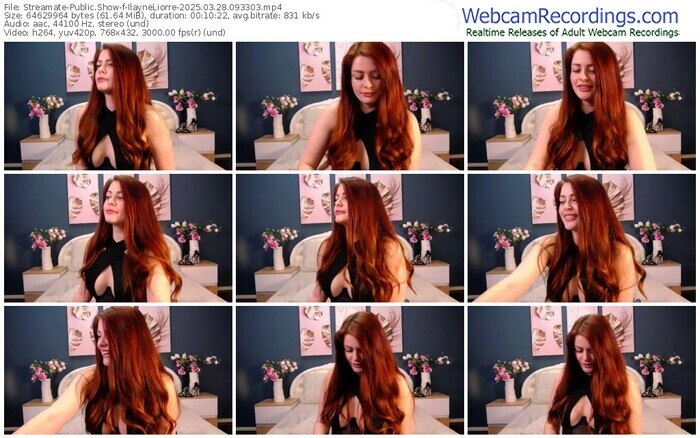 streamate-ilayneliorre-03-28-2025-09-33-03