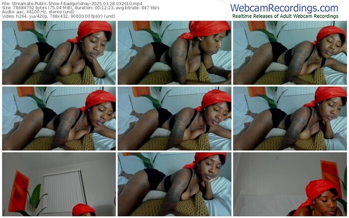streamate-badgurldnay-03-28-2025-03-26-10